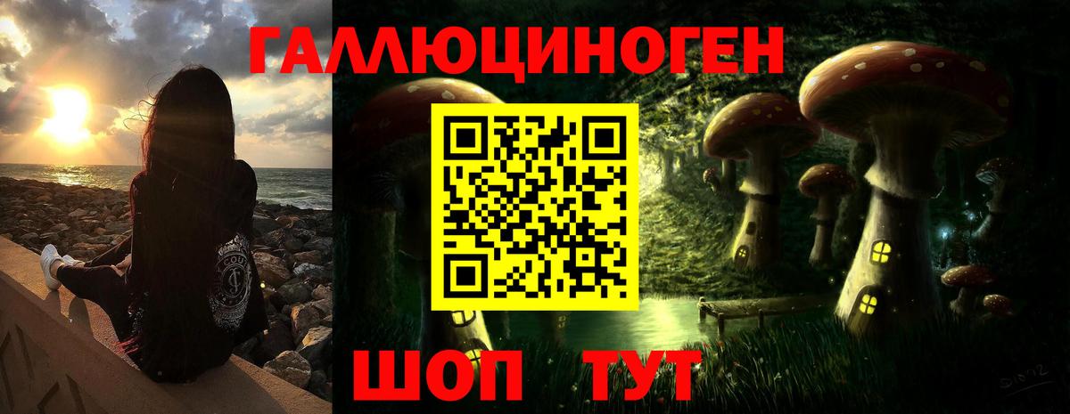 Галлюциногенные грибы GOLDEN TEACHER  Вход с VPN  Биробиджан 